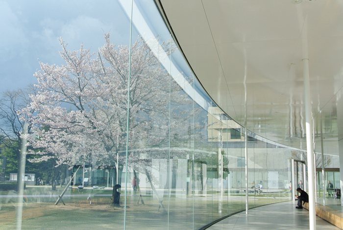 桜と金沢21世紀美術館