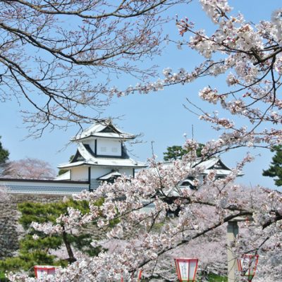 桜と金沢城石川門
