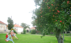 パジャイスリス修道院（Pažaislio vienuolynas）のりんご