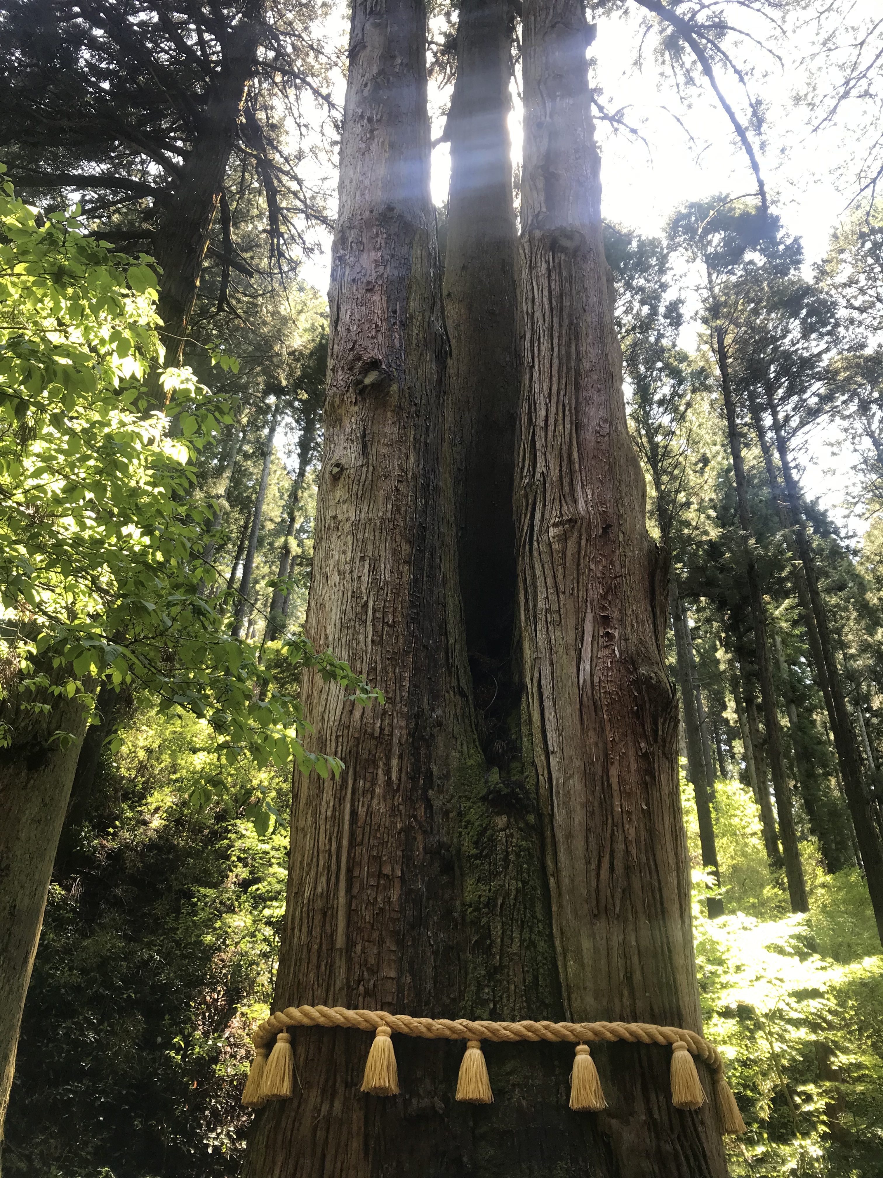 東京から日帰りで御岩神社へ Travel Stories